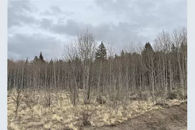 688 Ouray Trail, Como, CO 80432 - Photo 2