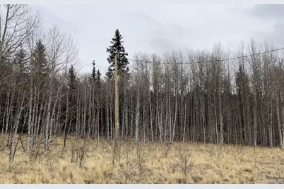 688 Ouray Trail, Como, CO 80432 - Photo 1