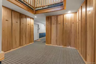 393 Wild Irishman Rd, Keystone, CO 80435 - Photo 28