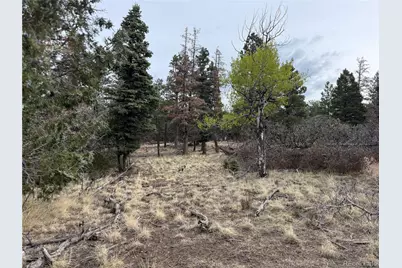 Lot 154 Tahmoush Lane, Fort Garland, CO 81133 - Photo 22