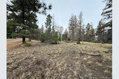 Lot 154 Tahmoush Lane, Fort Garland, CO 81133 - Photo 26