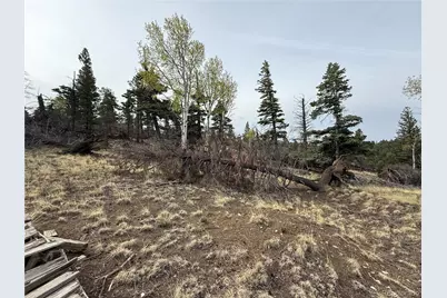 Lot 154 Tahmoush Lane, Fort Garland, CO 81133 - Photo 6