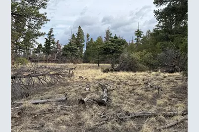 Lot 154 Tahmoush Lane, Fort Garland, CO 81133 - Photo 4