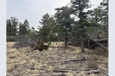 Lot 154 Tahmoush Lane, Fort Garland, CO 81133 - Photo 8