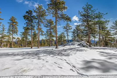 13144 Pine Country Lane, Conifer, CO 80433 - Photo 6