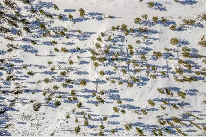 13144 Pine Country Lane, Conifer, CO 80433 - Photo 46