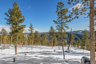 13144 Pine Country Lane, Conifer, CO 80433 - Photo 10