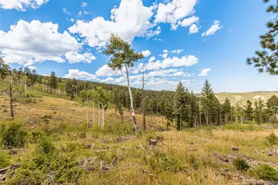 13144 Pine Country Lane, Conifer, CO 80433 - Photo 24