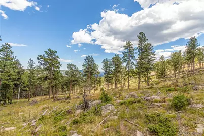 13144 Pine Country Lane, Conifer, CO 80433 - Photo 36