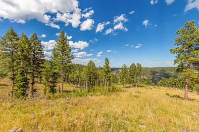 13144 Pine Country Lane, Conifer, CO 80433 - Photo 18