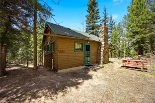 652 Payne Gulch Rd, Bailey, CO 80421 - Photo 24
