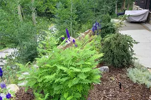 95 Victory Ln, Breckenridge, CO 80424 - Photo 46