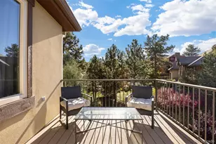 4775 Silver Pine Dr, Castle Rock, CO 80108 - Photo 28