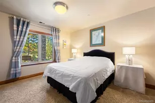 4775 Silver Pine Dr, Castle Rock, CO 80108 - Photo 38