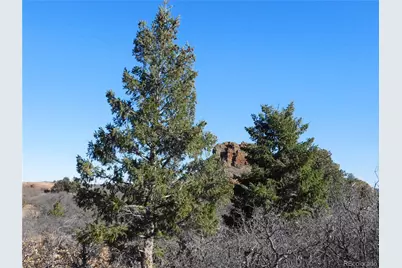 6271 Country Club Drive, Larkspur, CO 80118 - Photo 20