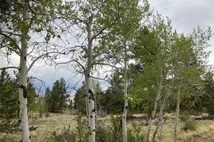 256 Bandana Rd, Hartsel, CO 80449 - Photo 1