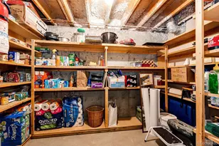 6920 Hillside Way, Parker, CO 80134 - Photo 34