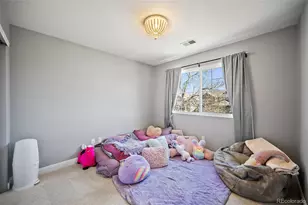 10417 Tracewood Dr, Highlands Ranch, CO 80130 - Photo 20