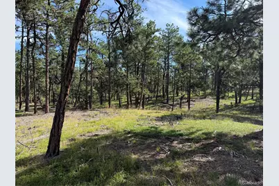 17405 E Goshawk, Colorado Springs, CO 80908 - Photo 6