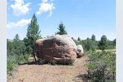 6382 Country Club Drive, Larkspur, CO 80118 - Photo 28