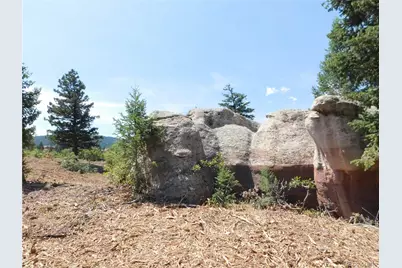 6382 Country Club Drive, Larkspur, CO 80118 - Photo 16