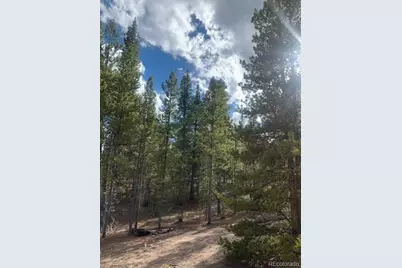 180 Peak View Drive, Leadville, CO 81251 - Photo 12