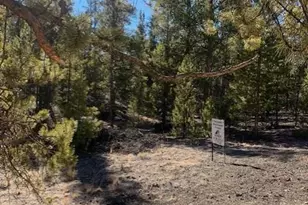 180 Peak View Dr, Leadville, CO 81251 - Photo 1