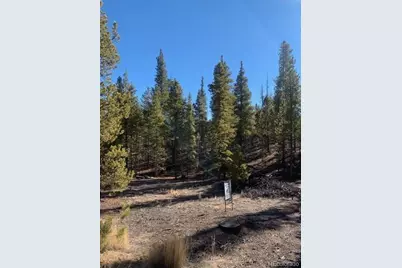 180 Peak View Drive, Leadville, CO 81251 - Photo 2