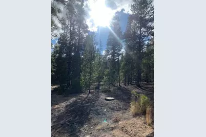 180 Peak View Drive, Leadville, CO 81251 - Photo 10