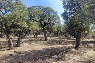 Lot 7274 Barker Rd, Fort Garland, CO 81133 - Photo 1