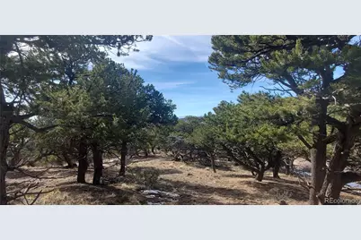 Lot 7274 Barker Road, Fort Garland, CO 81133 - Photo 2