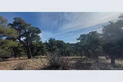 Lot 7274 Barker Road, Fort Garland, CO 81133 - Photo 8