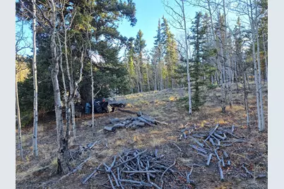 1645 Chippewa Road, Como, CO 80432 - Photo 18