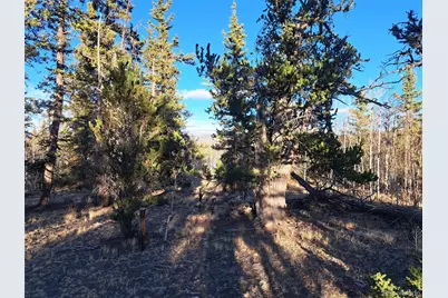 1645 Chippewa Road, Como, CO 80432 - Photo 6