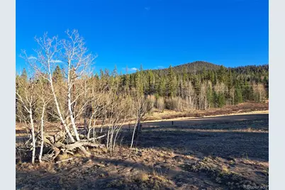 1645 Chippewa Road, Como, CO 80432 - Photo 8