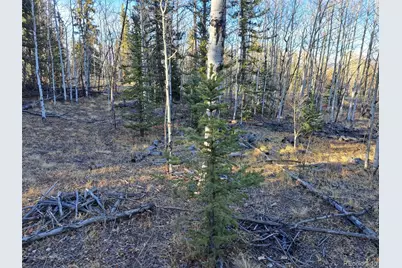 1645 Chippewa Road, Como, CO 80432 - Photo 12