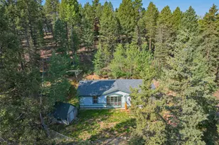 22 Silver Trail, Florissant, CO 80816 - Photo 22