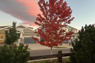 8369 Zircon St, Arvada, CO 80007 - Photo 46