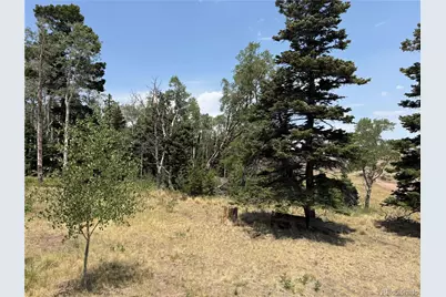 2357 Benton Place, Fort Garland, CO 81133 - Photo 18