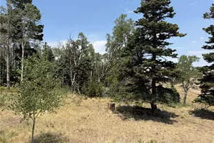 2357 Benton Pl, Fort Garland, CO 81133 - Photo 18
