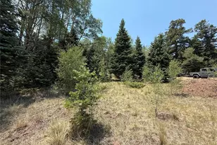 2357 Benton Pl, Fort Garland, CO 81133 - Photo 14