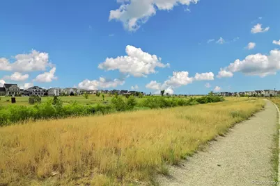 10076 E 63rd Avenue, Denver, CO 80238 - Photo 28