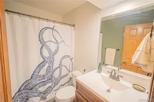 27107 Co Rd 342, Buena Vista, CO 81211 - Photo 22