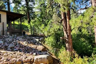 8946 Cottonwood Dr, Beulah, CO 81023 - Photo 10
