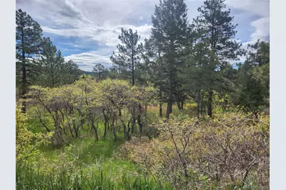 Buena Vista Avenue, Palmer Lake, CO 80133 - Photo 1
