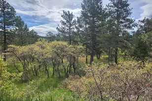 Buena Vista Ave, Palmer Lake, CO 80133 - Photo 1