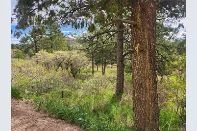 Buena Vista Avenue, Palmer Lake, CO 80133 - Photo 2