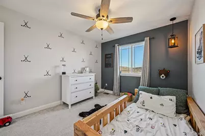 2959 Night Song Way, Castle Rock, CO 80109 - Photo 34