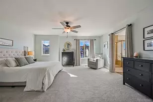 2959 Night Song Way, Castle Rock, CO 80109 - Photo 26