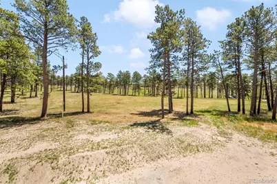 13355 Pinery Drive, Colorado Springs, CO 80908 - Photo 40